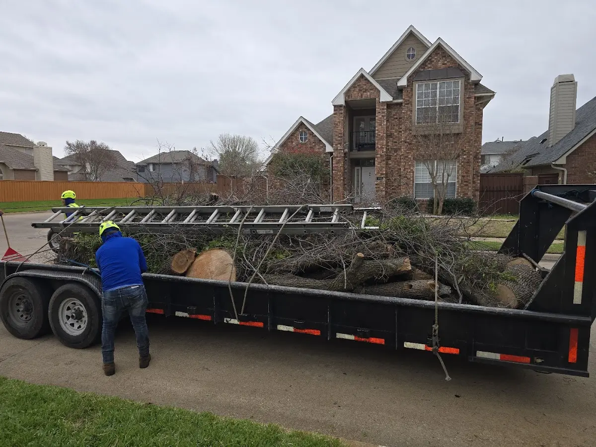 Expert Tree Fertilization with proper safety equipment in Brinktown